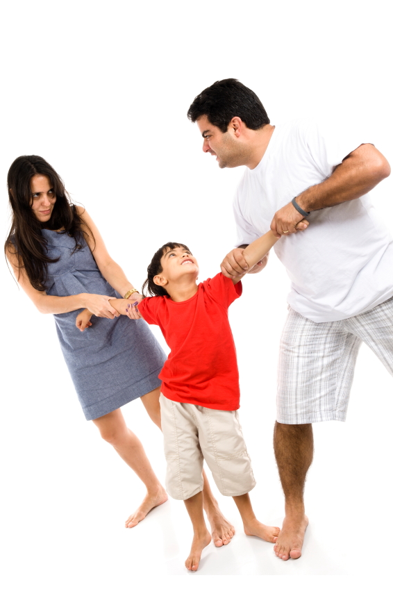Understanding Family Law: Spousal Disputes and Child Custody