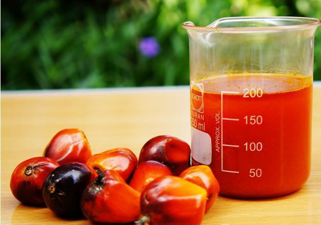 Comprehensive Guide To Buy Superior Quality Coconut Palm Oil Online