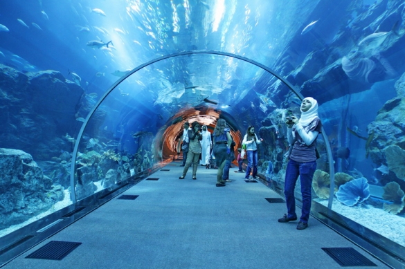 8 Spectacular Tourist Attractions In Dubai