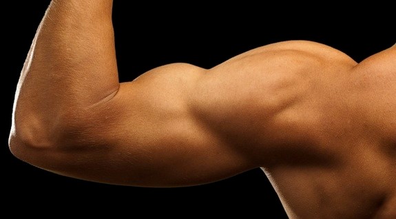 Body Building – The Vital Need Of It In Today’s World