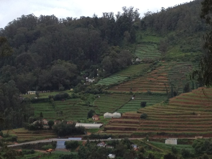 Ooty - The Hill Station Offering You A Plethora Of Sightseeing and Outdoor Activities