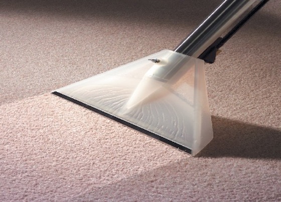 Carpet Cleaning & Rug Cleaning For Hamptons Homeowner