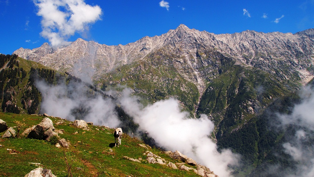 Dhauladhar Mountain