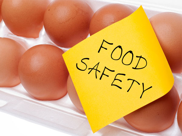 The Importance Of Food Safety Equipment