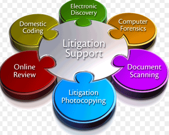 Litigation Software