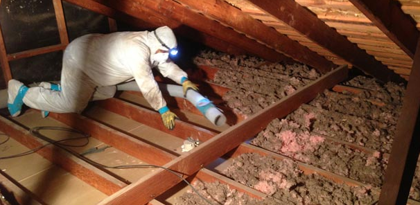 Attic Insulation