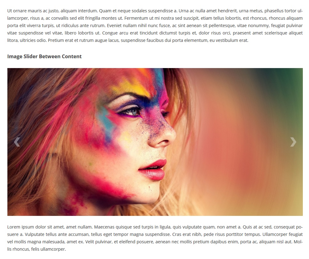 Ultimate Responsive Image Slider Pro