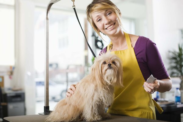 Benefits Of Professional Dog Grooming