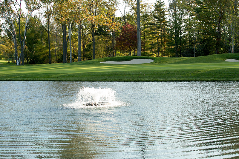 Pond Maintenance: A Few Tips To Keep Pond Water Clean