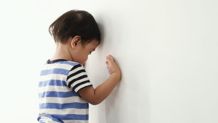 The Need For A Neuropsychological Evaluation To Determine Behavioral Changes In A Child