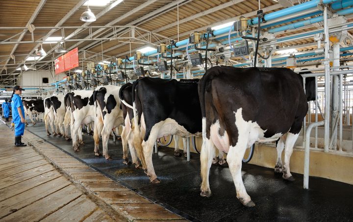 Tips For Improving The Flooring In Your Dairy Facility