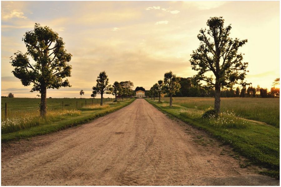 Moving to The Country? 4 Ways to Look For A Plot Of Land
