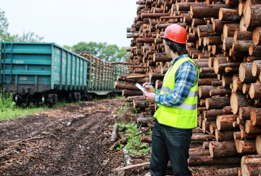 Wood Processing Made Easy: 4 Tools To Simplify Your Workload